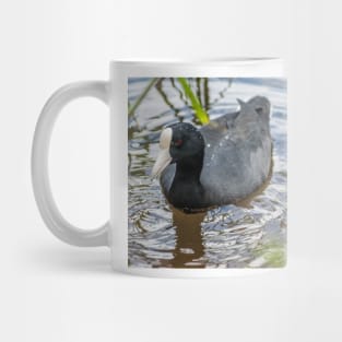 Hawaiian coot 3 Mug